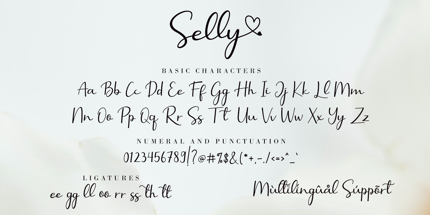Beispiel einer Selly Calligraphy-Schriftart #4